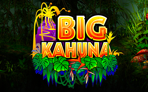 Big Kahuna สล็อตบิ๊กคาฮูนา