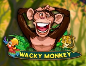 Wacky Monkey สล็อตเว็บตรง แตกง่าย