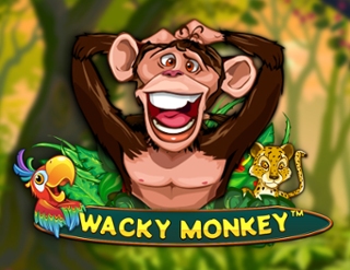 Wacky Monkey สล็อตเว็บตรง แตกง่าย